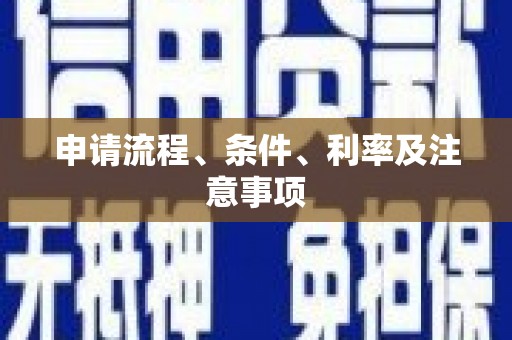 武汉申请流程、条件、利率及注意事项